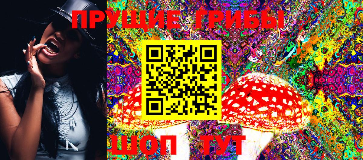 Галлюциногенные грибы Cubensis  Вход с VPN  Чехов  Галлюциногенные грибы Magic Shrooms 